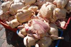 بجاية: حجز قرابة 5 قنطار من اللحوم البيضاء الفاسدة