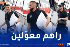 وفد مولودية الجزائر يصل إلى ليبيريا تحسبا لمواجهة فاسال في دوري الأبطال