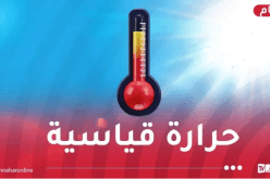 موجة حر.. درجات حرارة تصل 41° بداية من اليوم