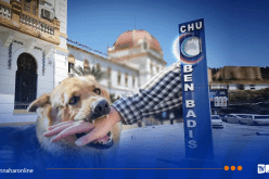 مستشفى بن باديس بقسنطينة يوضح بخصوص وفاة طفل بعد تعرضه لهجوم من كلب