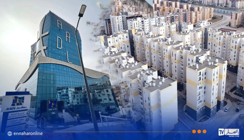 عدل3 : جديد أصحاب الطعون
