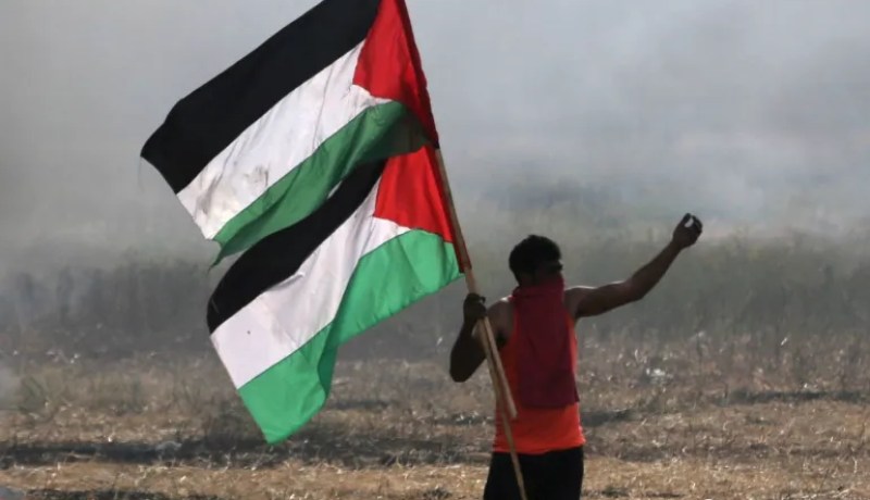 فنلندا تؤكد ضرورة إيجاد حل سلمي للقضية الفلسطينية