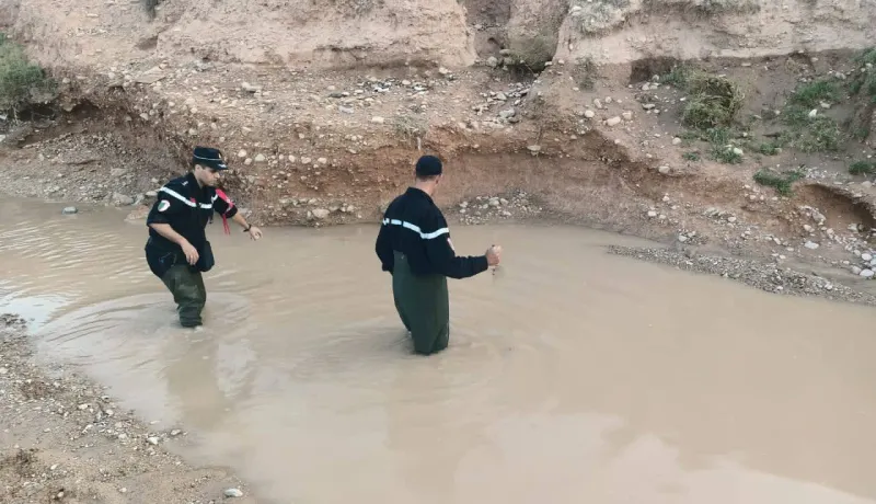 الجلفة .. البحث عن طفل جرفته السيول بدار الشيوخ