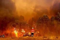 مراهق يشعل حرائق غابات عمدا بسبب ضعف نتائجه الدراسية