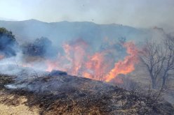 اندلاع 7 حرائق غابات خلال 24 ساعة