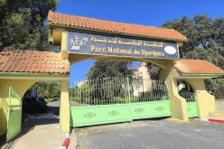 تنصيب لجنة تسيير محمية المحيط الحيوي للحظيرة الوطنية لجرجرة