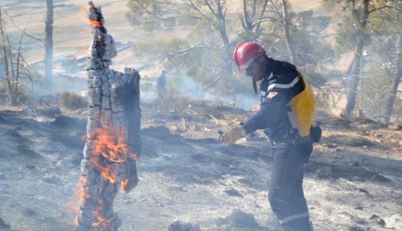 اندلاع 8 حرائق غابات، أدغال وأحراش