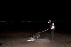 بينهم طفل.. البحث عن 3 مفقودين جرفتهم السيول بالجلفة