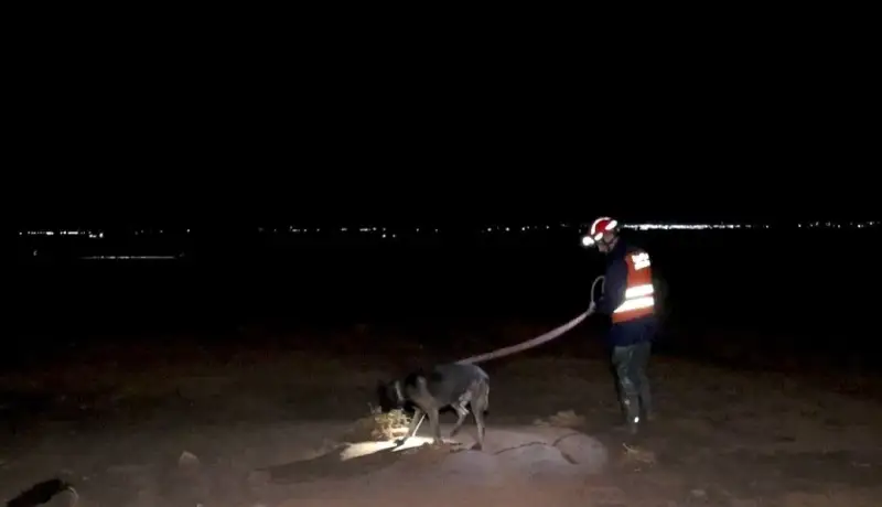 بينهم طفل.. البحث عن 3 مفقودين جرفتهم السيول بالجلفة