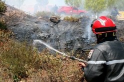 اندلاع 7 حرائق غابات بـ 5 ولايات 