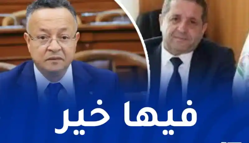 الحجم الساعي الأسبوعي للأستاذ الباحث.. عمارنة يعقد اجتماعا هاما بوزارة التعليم العالي
