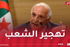عطاف: القضية الفلسطينية تواجه اليوم الخطر الأعظم في تاريخها