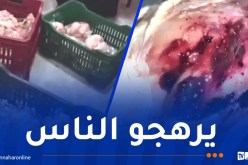أم البواقي: إيداع شخص الحبس وحجز أكثر من 8 قناطير من اللحوم غير صالحة للاستهلاك