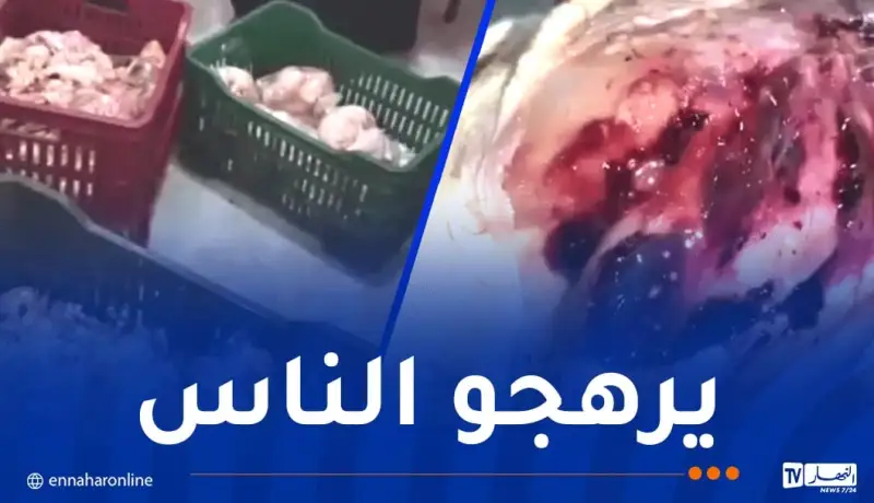 أم البواقي: إيداع شخص الحبس وحجز أكثر من 8 قناطير من اللحوم غير صالحة للاستهلاك
