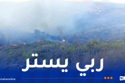 سطيف: تواصل عملية إخماد حريق ذراع قبيلة