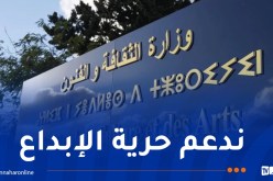 وزارة الثقافة..الإبداع لا يكتمل إلا في إطار قوانين الجمهورية