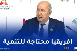 الرئيس تبون: القارة الإفريقية ليست حقل تجارب للأسلحة الأجنبية 