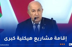 الرئيس تبون: الجزائر أخذت على عاتقها المساهمة في بناء مستقبل القارة الإفريقية