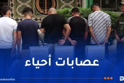 العاصمة.. توقيف 5 أشخاص وحجز مهلوسات وأسلحة بيضاء