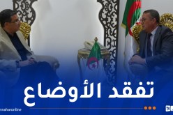 بعد وفاة طفلين بداء الكلب.. وزير الصحة يتنقل إلى أم البواقي