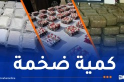 جمارك: حجز 3352 كلغ من “الكيف” وأكثر من 8 مليون قرص مهلوس و295 كلغ من الكوكايين