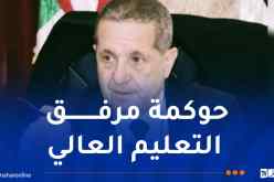 الاتحادية الوطنية للتعليم العالي تثمّن قرار بداري بتفويض صلاحيات التعيين للمؤسسات الجامعية