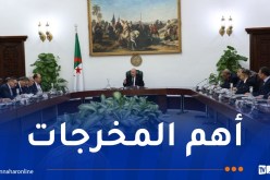 خلال اجتماع مجلس الوزراء.. الرئيس تبون يشدد على تطوير العمل الحكومي والتنسيق لتحقيق مناعة شاملة