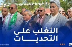 مولوجي: من الضروري استغلال مزايا التكنولوجيات الحديثة في تدريس ذوي الهمم