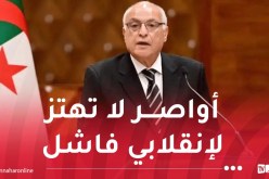 عطاف: يد الجزائر تبقى ممدودة في سبيل إعلاء ما يجمعها بأشقائها الماليين