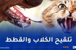 حملة تلقيح مجانية ضد داء الكلب