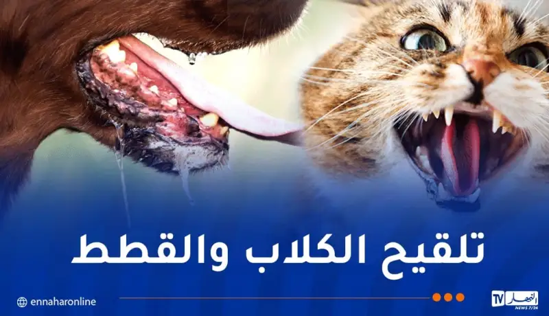 حملة تلقيح مجانية ضد داء الكلب