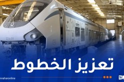 وزير الداخلية: صيانة كافة قطارات كوراديا وإعادة وضعها حيز الخدمة