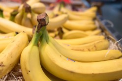 10 سنوات حبسًا نافذًا لشخصين بتهمة المضاربة في الموز بأرزيو