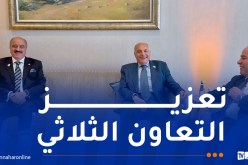 أشغال القمة العربية الإسلامية الطارئة.. اجتماع ثلاثي جزائري-تونسي-ليبي