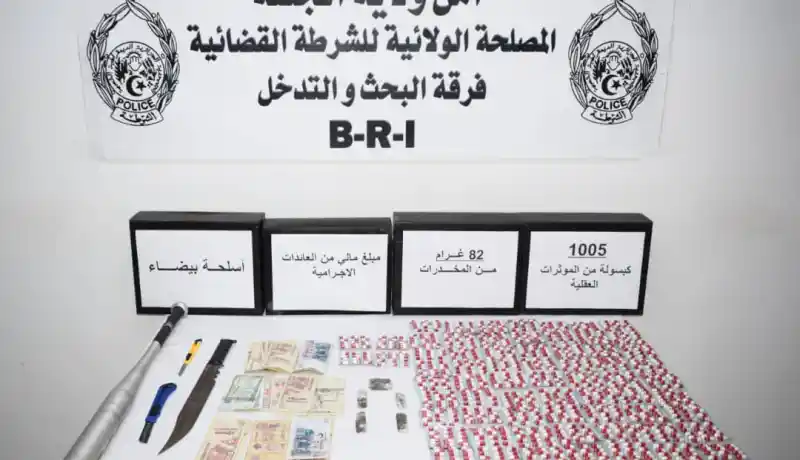 الجلفة.. توقيف 3 مروّجين للمهلوسات وحجز كمية من الكيف