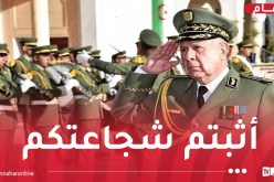القضاء على 6 ارهابيين.. الفريق أول شنقريحة يتفقد الوحدات العسكرية المشاركة في العملية