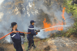 العاصمة.. حريق بـ “سيتي مايا” بالقرب من مدخل الميترو في حسين داي