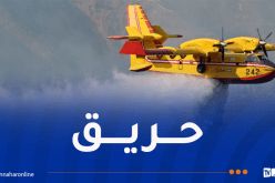 إندلاع حريق في غابة تالارانا بالبويرة