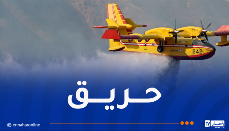 إندلاع حريق في غابة تالارانا بالبويرة