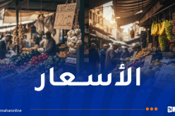 هذه أسعار اللحوم والخضر والفواكه اليوم