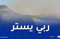 إندلاع حريق غابة بمنطقة برج الطهر في جيجل