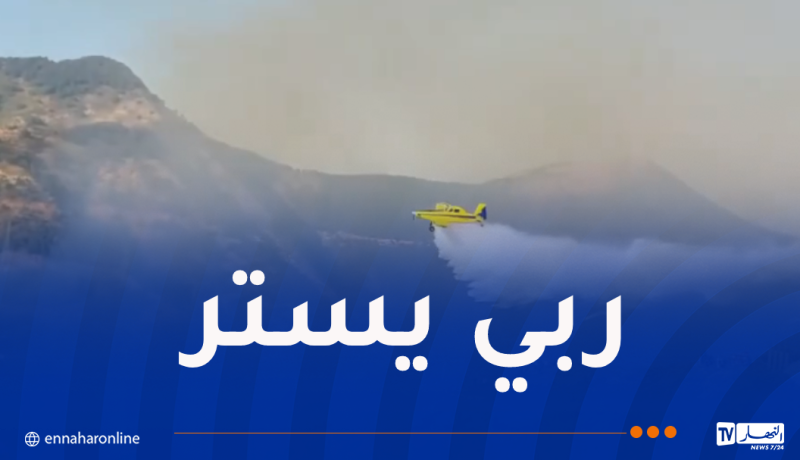 إندلاع حريق غابة بمنطقة برج الطهر في جيجل