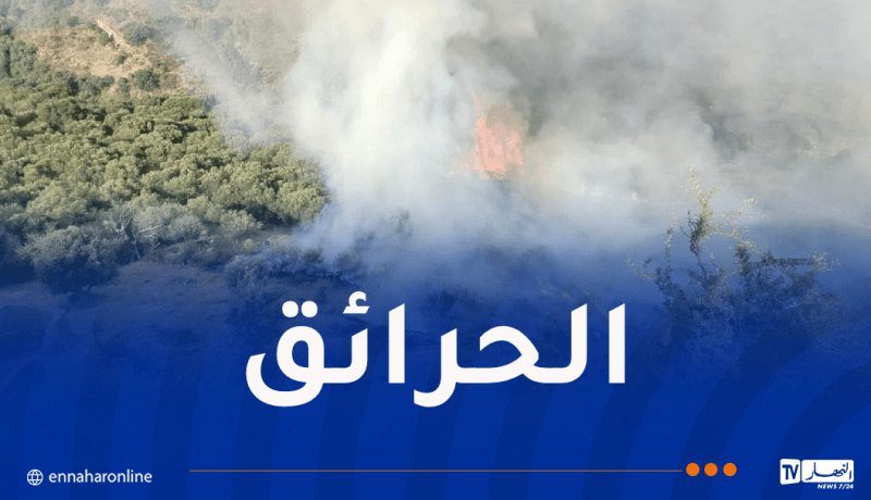 إندلاع 5 حرائق في جيجل