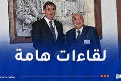 نيويورك.. عطاف يتحادث مع وزراء خارجية عدد من الدول
