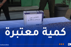 درك معسكر يفكك شبكة إجرامية تُتاجر بالمهلوسات