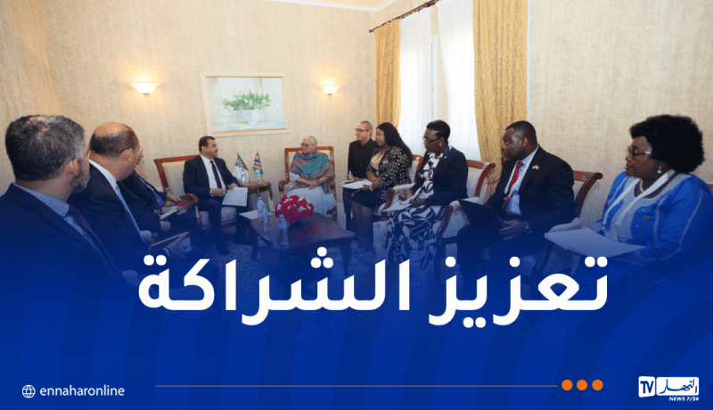 وزير الطاقة يتحادث مع نائبة رئيسة جمهورية ناميبيا