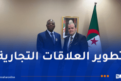 وزير التجارة الخارجية يستقبل عددا من وزراء الدول الإفريقية
