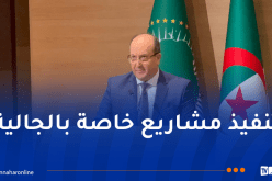 الوزير الأول بالنيابة: الجالية الإفريقية تشكل قوة إقتصادية مهمة