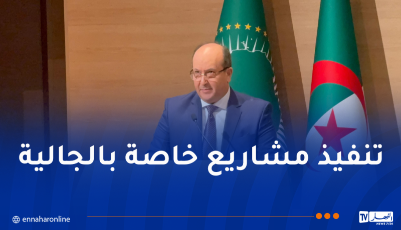 الوزير الأول بالنيابة: الجالية الإفريقية تشكل قوة إقتصادية مهمة