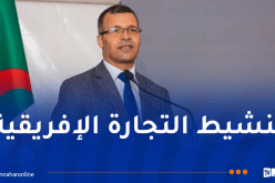 عمر ركاش: الجزائر حريصة على تشجيع المشاريع الاستثمارية والعقود التجارية الإفريقية